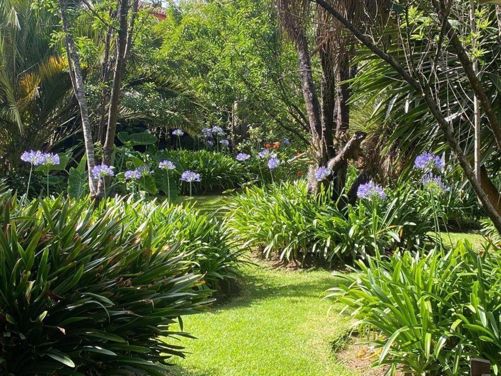 Hotel Casa De Familia De San Cristobal ซานกริสโตบัล เด ลาสกาซาส ภายนอก รูปภาพ